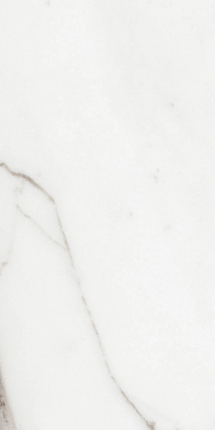 Florim Rex Origines De Rex Argent Matte 30X60 Rett 769847