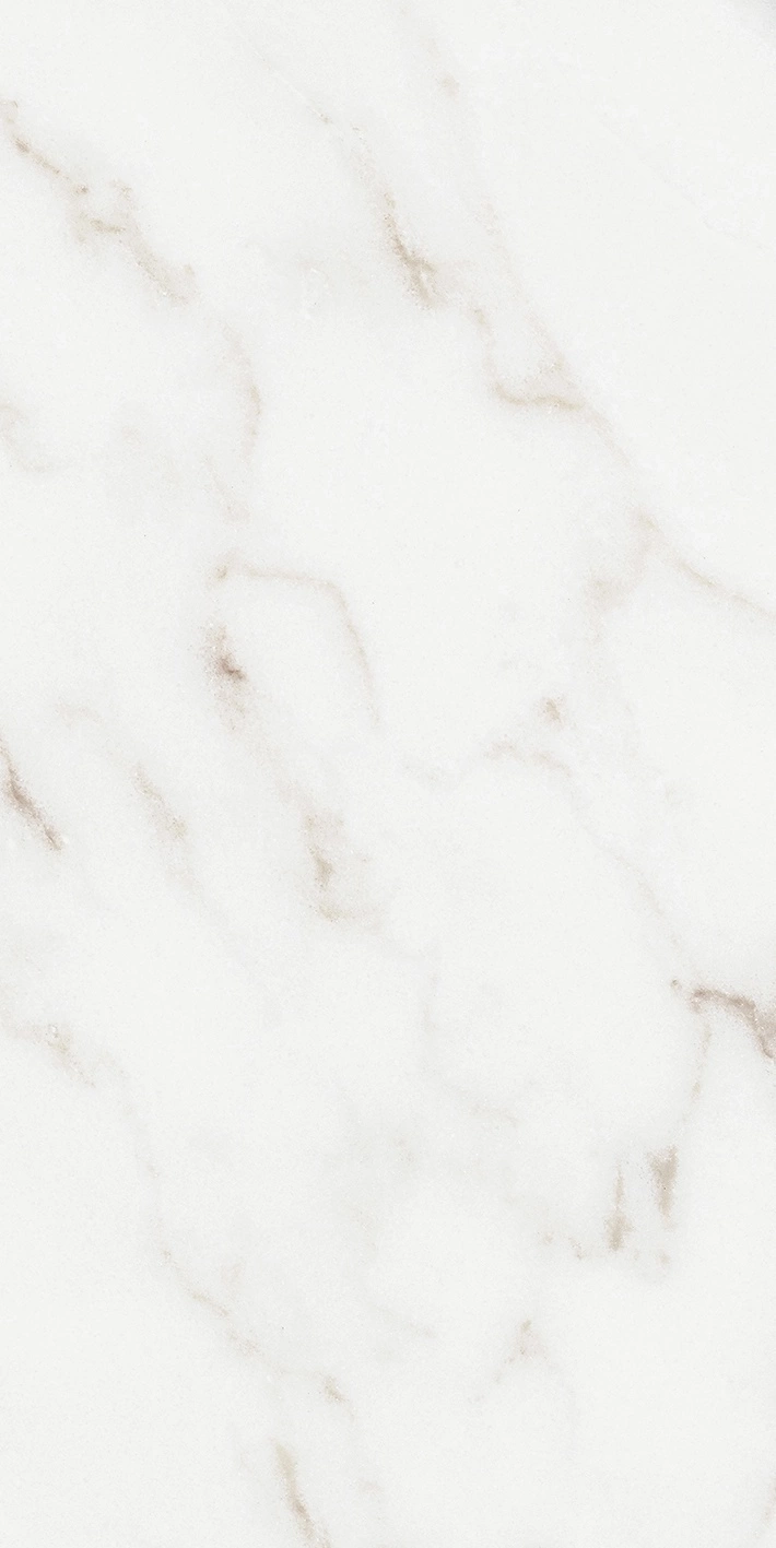 Florim Rex Origines De Rex Argent Matte 30X60 Rett 769847