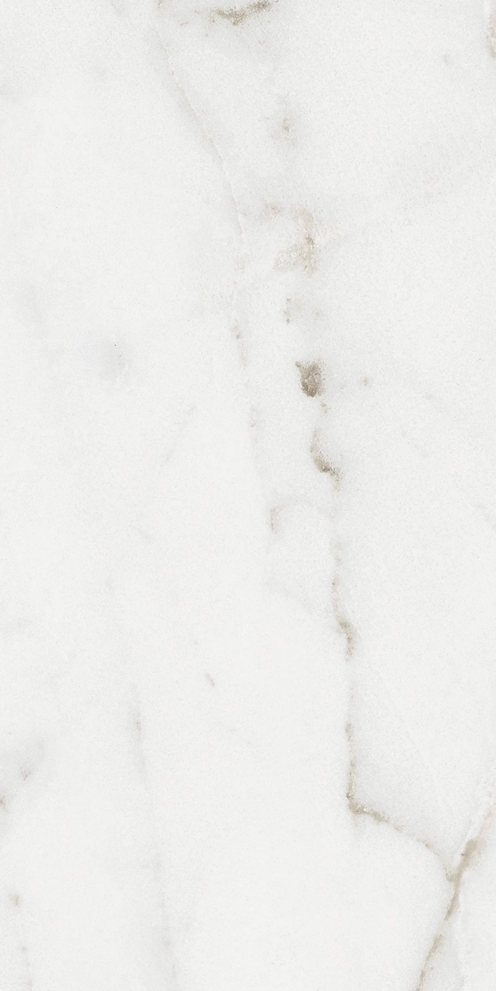 Florim Rex Origines De Rex Argent Matte 30X60 Rett 769847