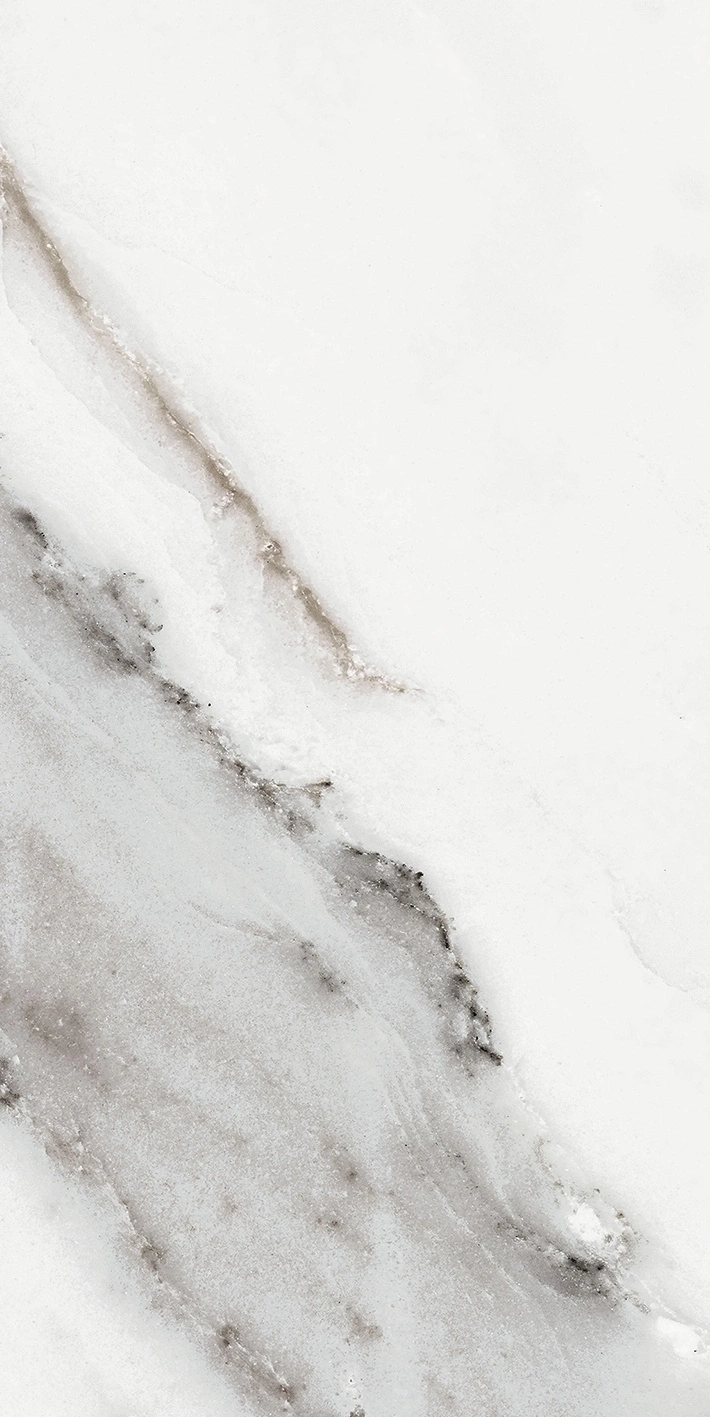 Florim Rex Origines De Rex Argent Matte 30X60 Rett 769847