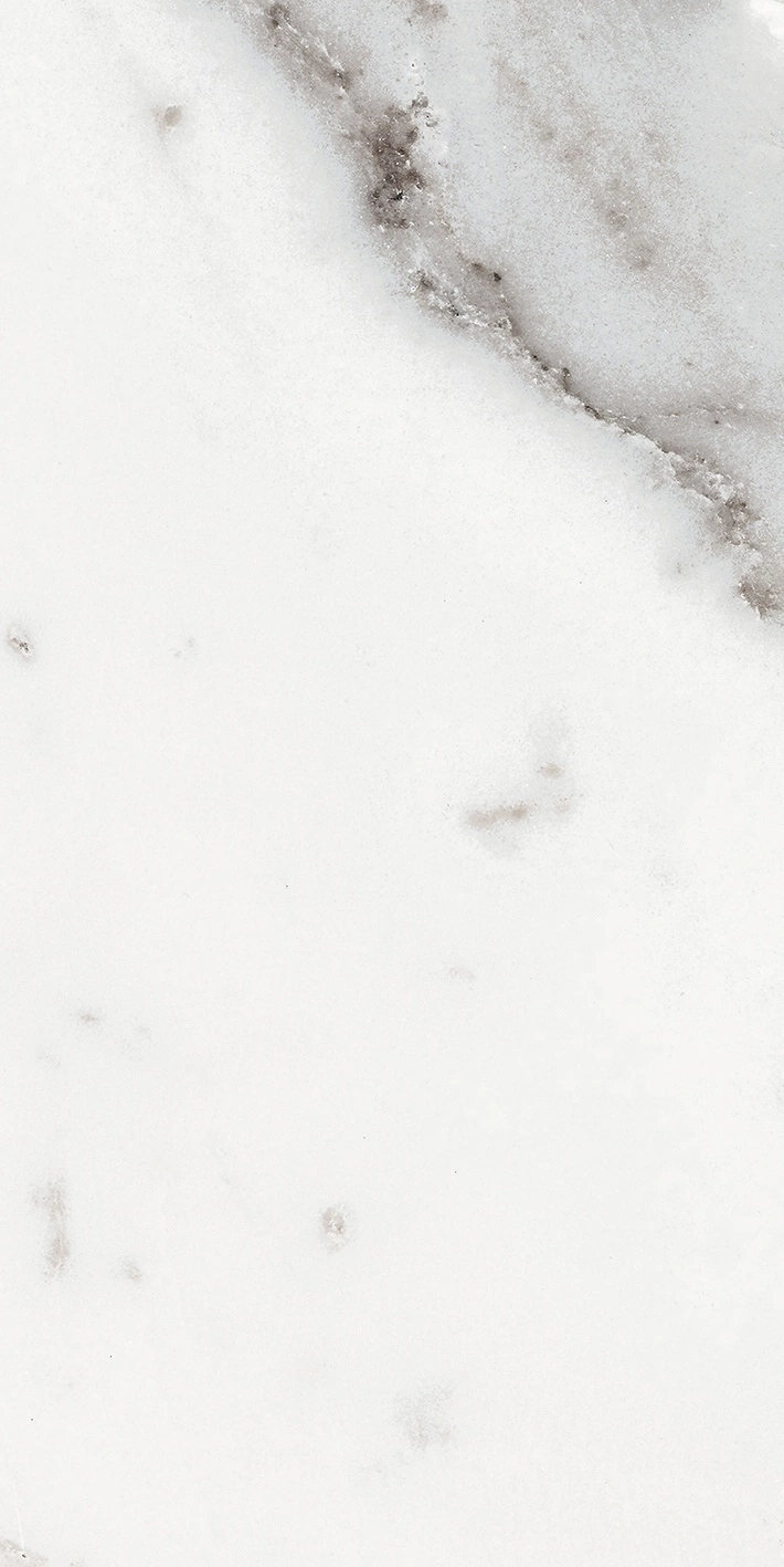 Florim Rex Origines De Rex Argent Matte 30X60 Rett 769847