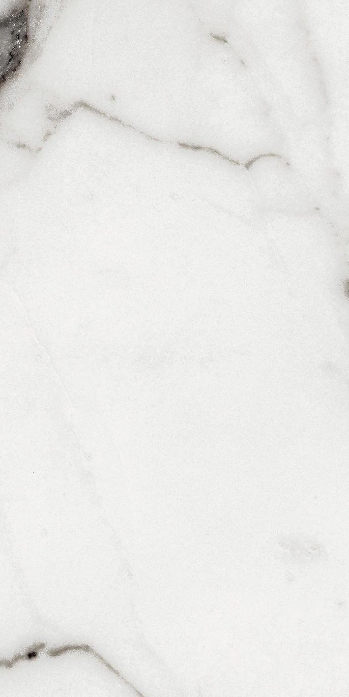 Florim Rex Origines De Rex Argent Matte 30X60 Rett 769847