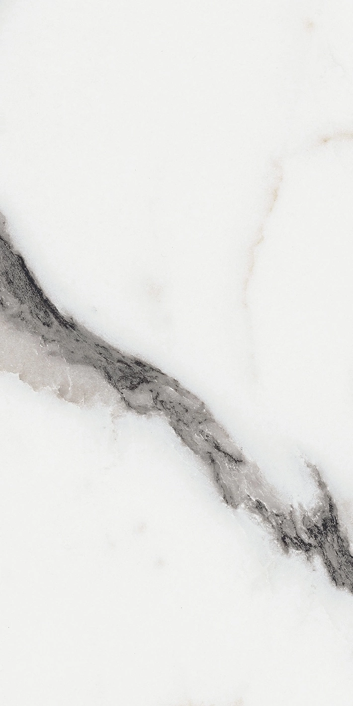 Florim Rex Origines De Rex Argent Matte 30X60 Rett 769847