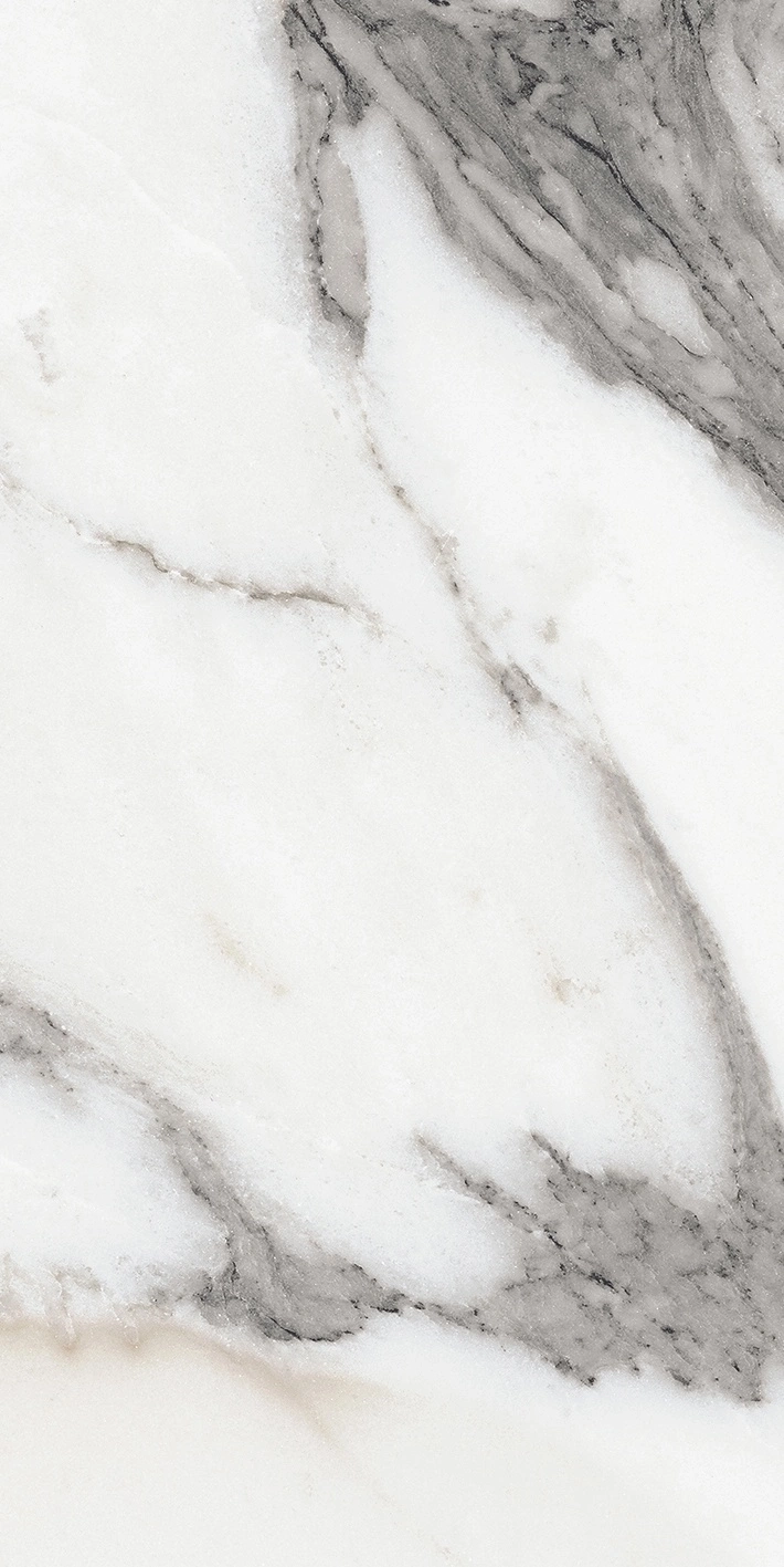 Florim Rex Origines De Rex Argent Matte 30X60 Rett 769847