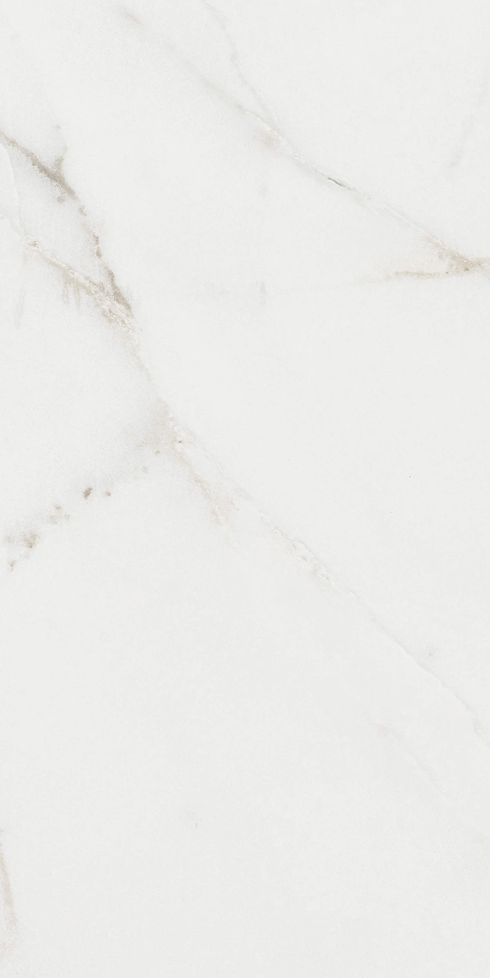 Florim Rex Origines De Rex Argent Matte 30X60 Rett 769847