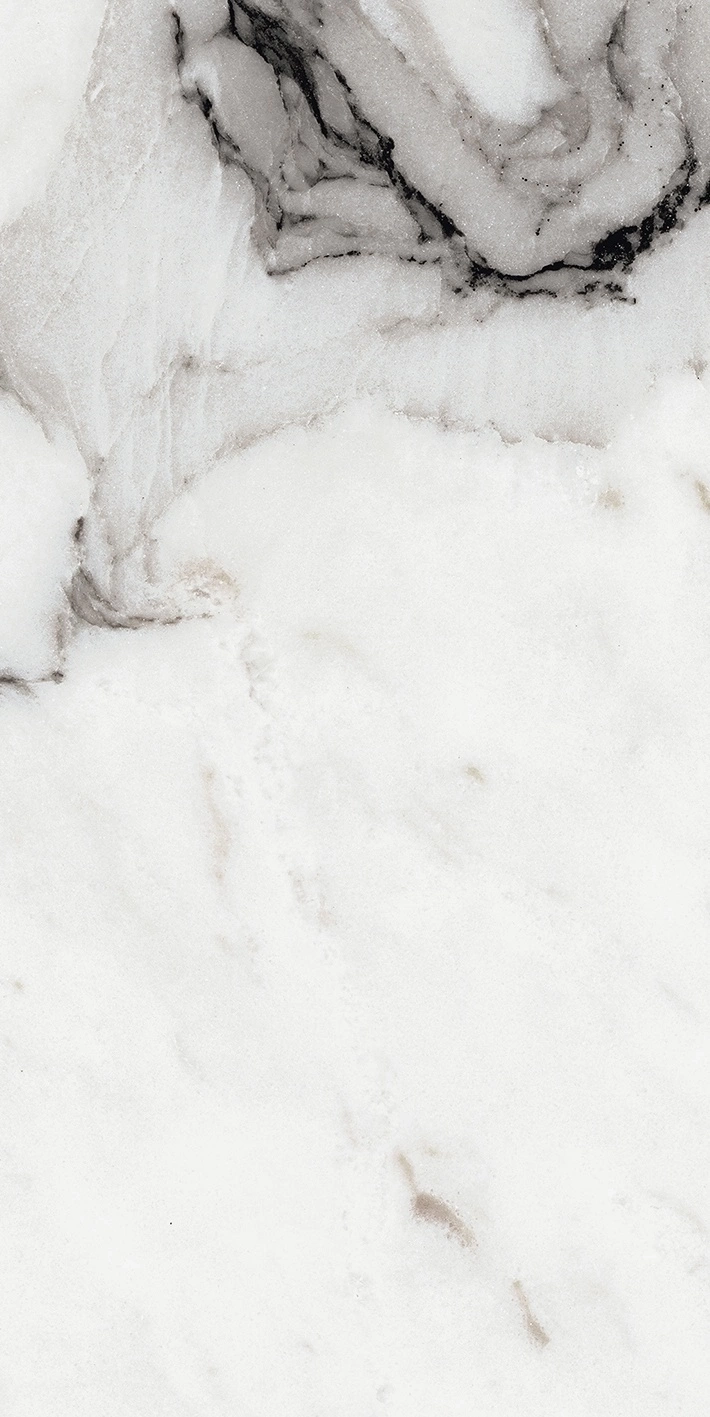 Florim Rex Origines De Rex Argent Matte 30X60 Rett 769847