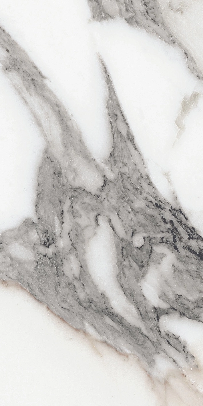 Florim Rex Origines De Rex Argent Matte 30X60 Rett 769847