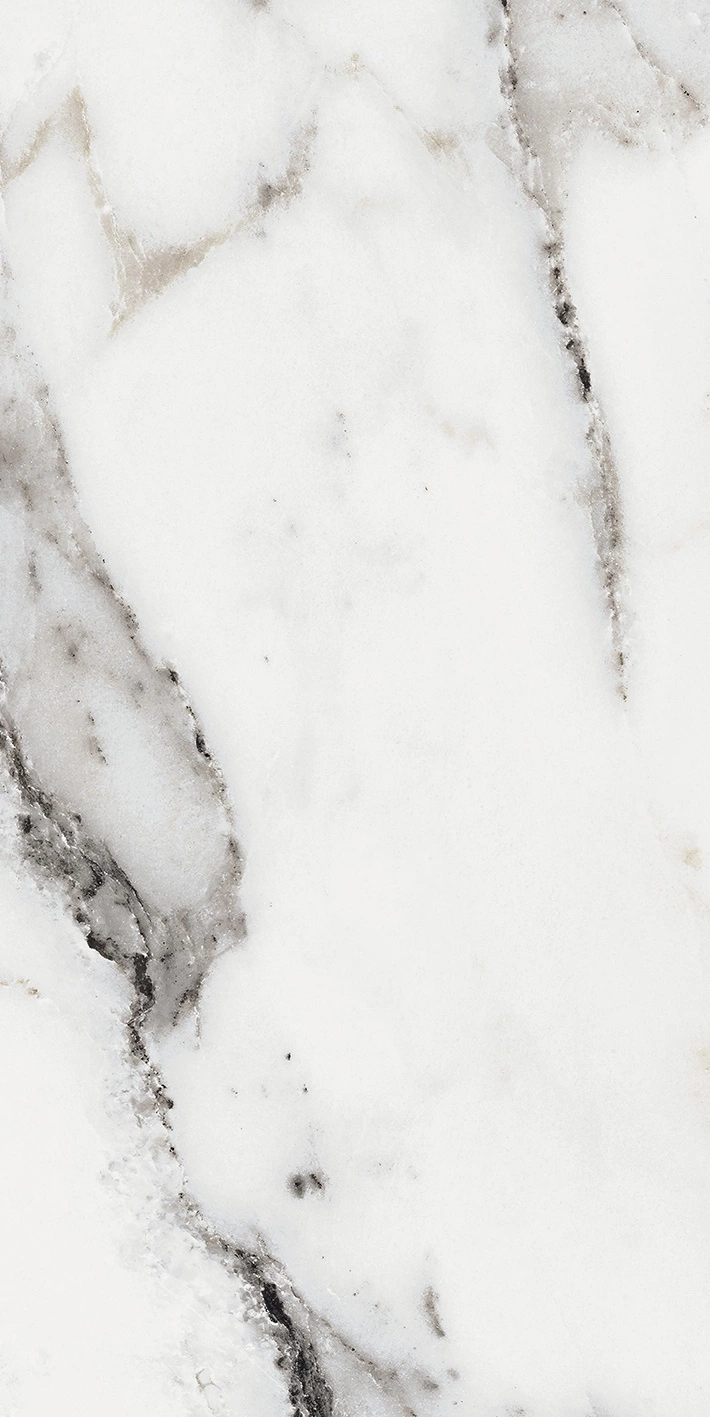 Florim Rex Origines De Rex Argent Matte 30X60 Rett 769847