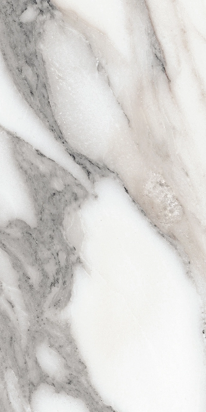 Florim Rex Origines De Rex Argent Matte 30X60 Rett 769847