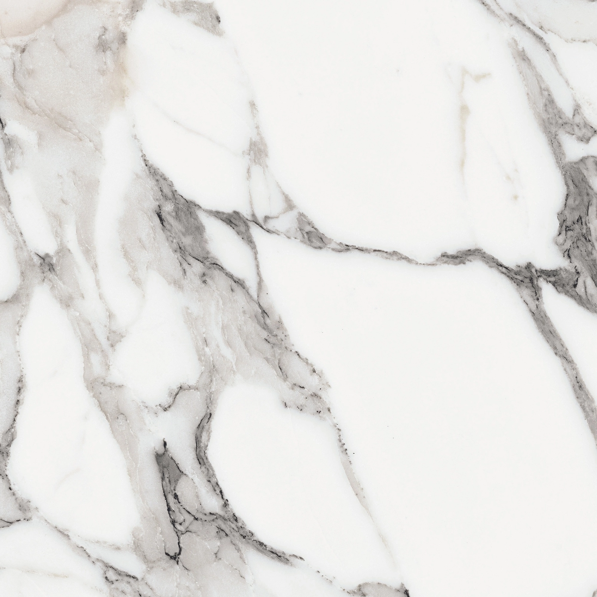 Florim Rex Origines De Rex Argent Matte 60X60 Rett 769839