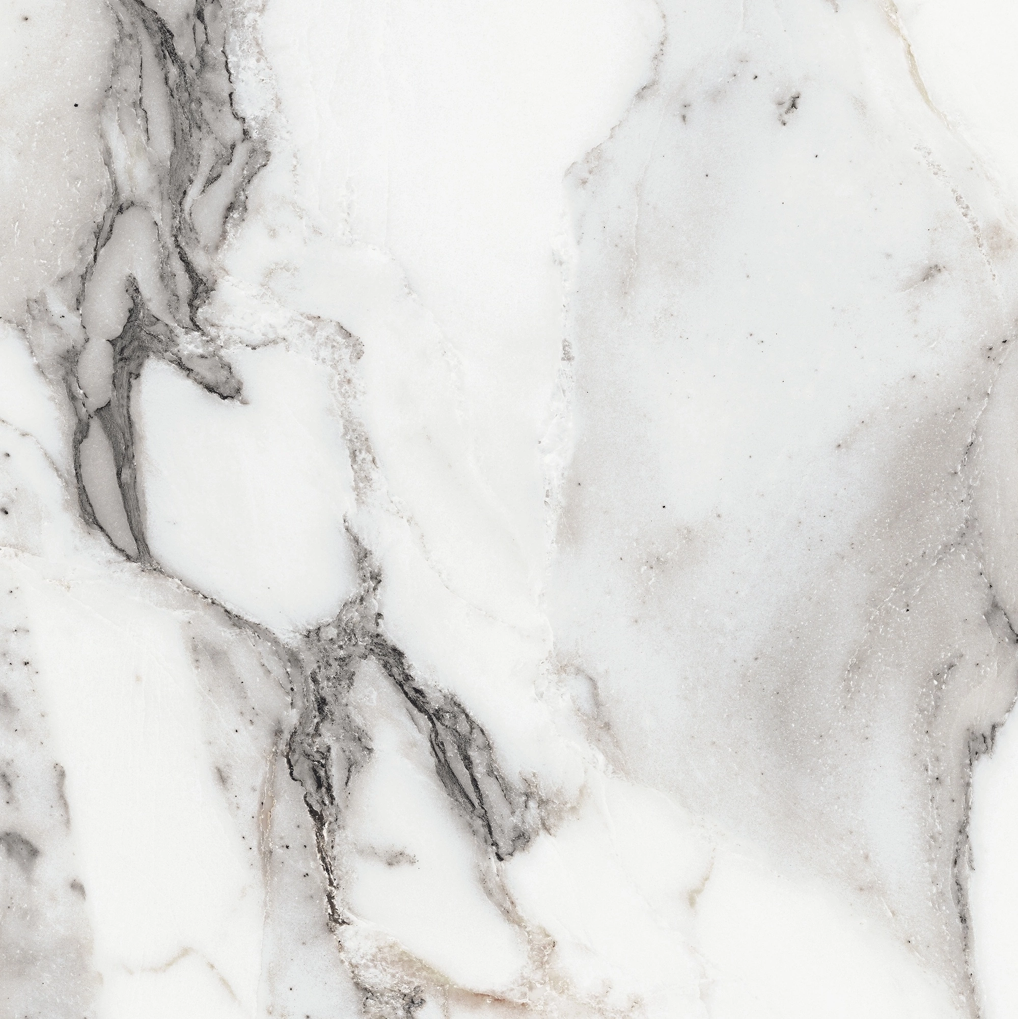 Florim Rex Origines De Rex Argent Matte 60X60 Rett 769839