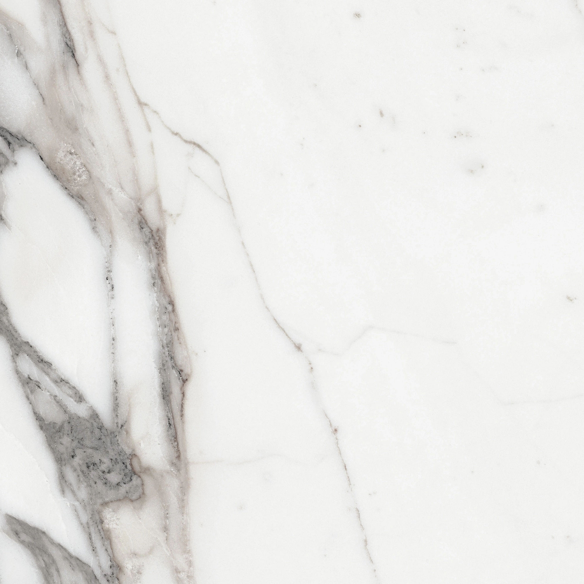 Florim Rex Origines De Rex Argent Matte 60X60 Rett 769839