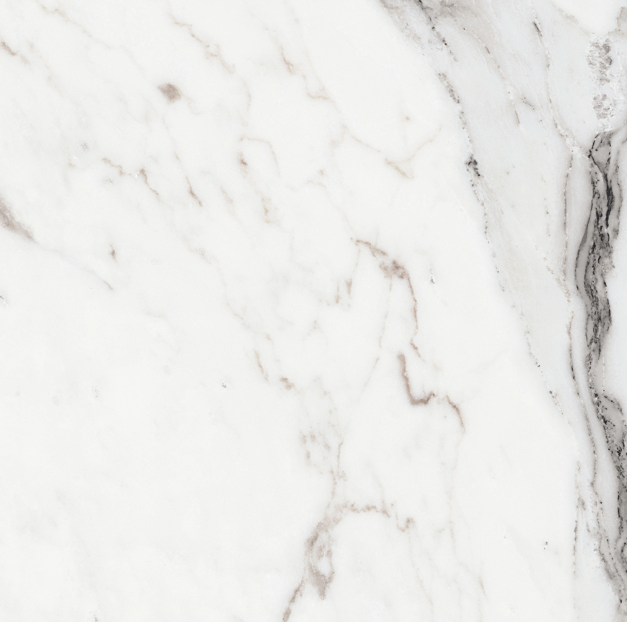 Florim Rex Origines De Rex Argent Matte 60X60 Rett 769839