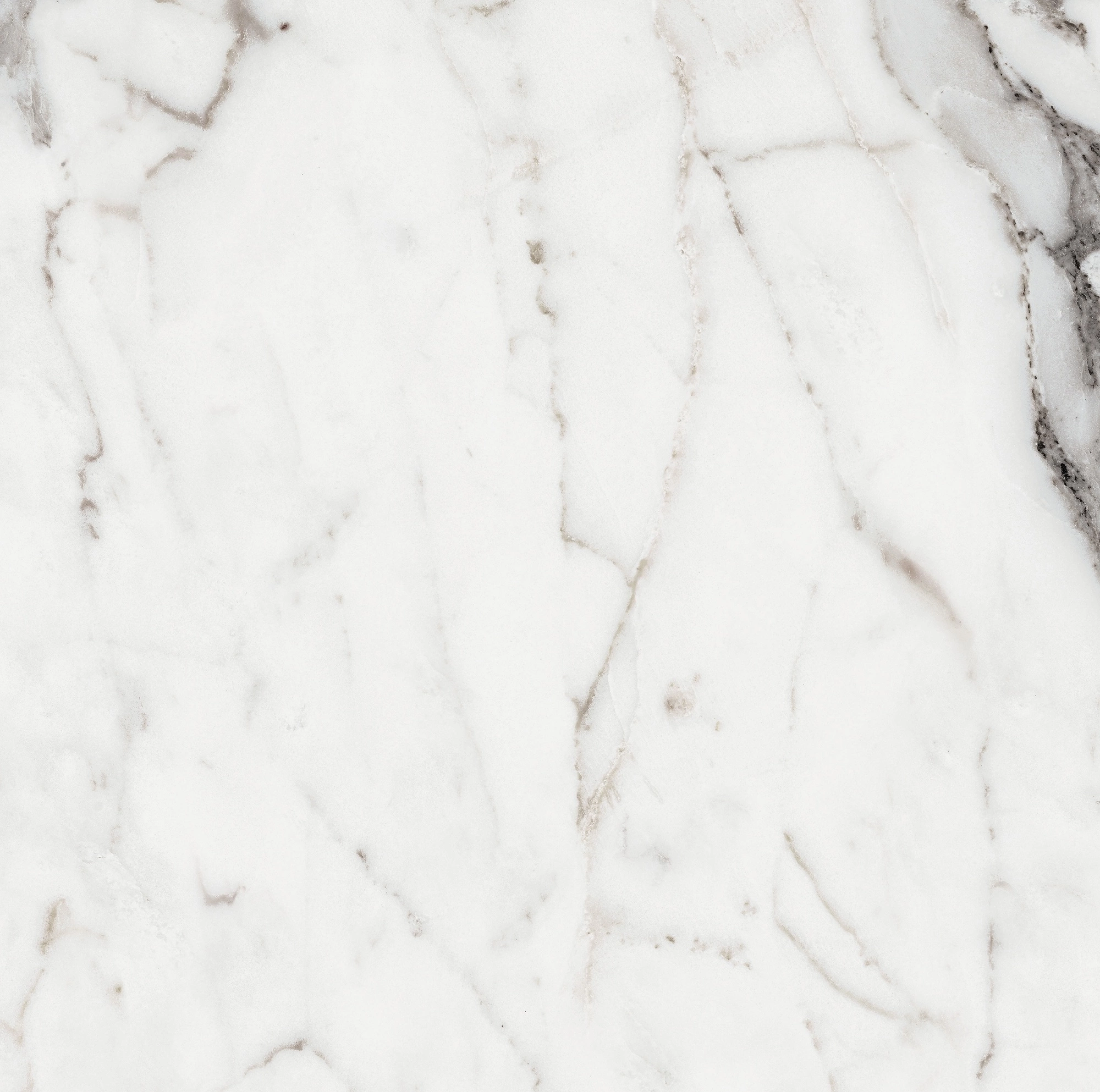 Florim Rex Origines De Rex Argent Matte 60X60 Rett 769839