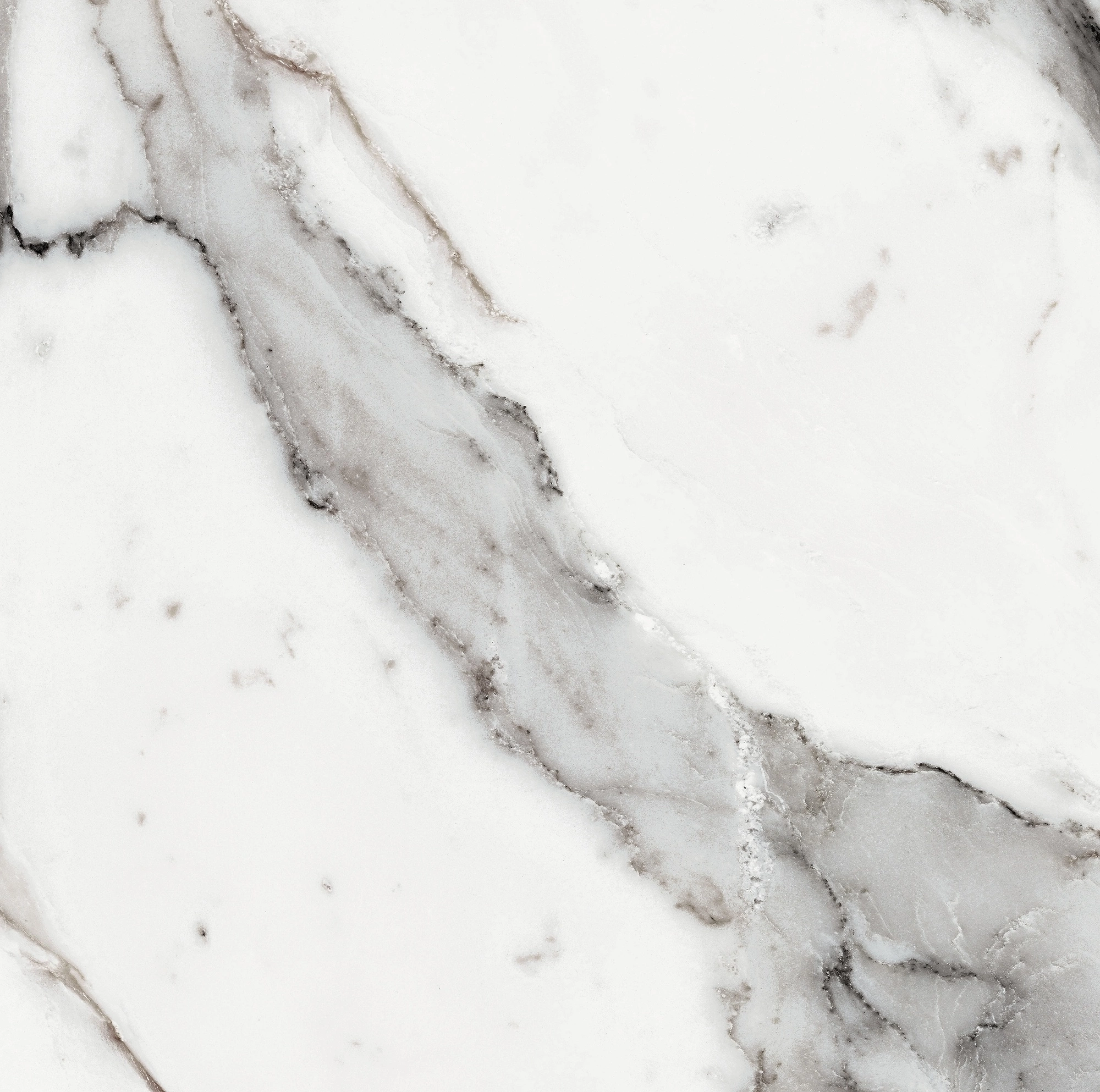 Florim Rex Origines De Rex Argent Matte 60X60 Rett 769839