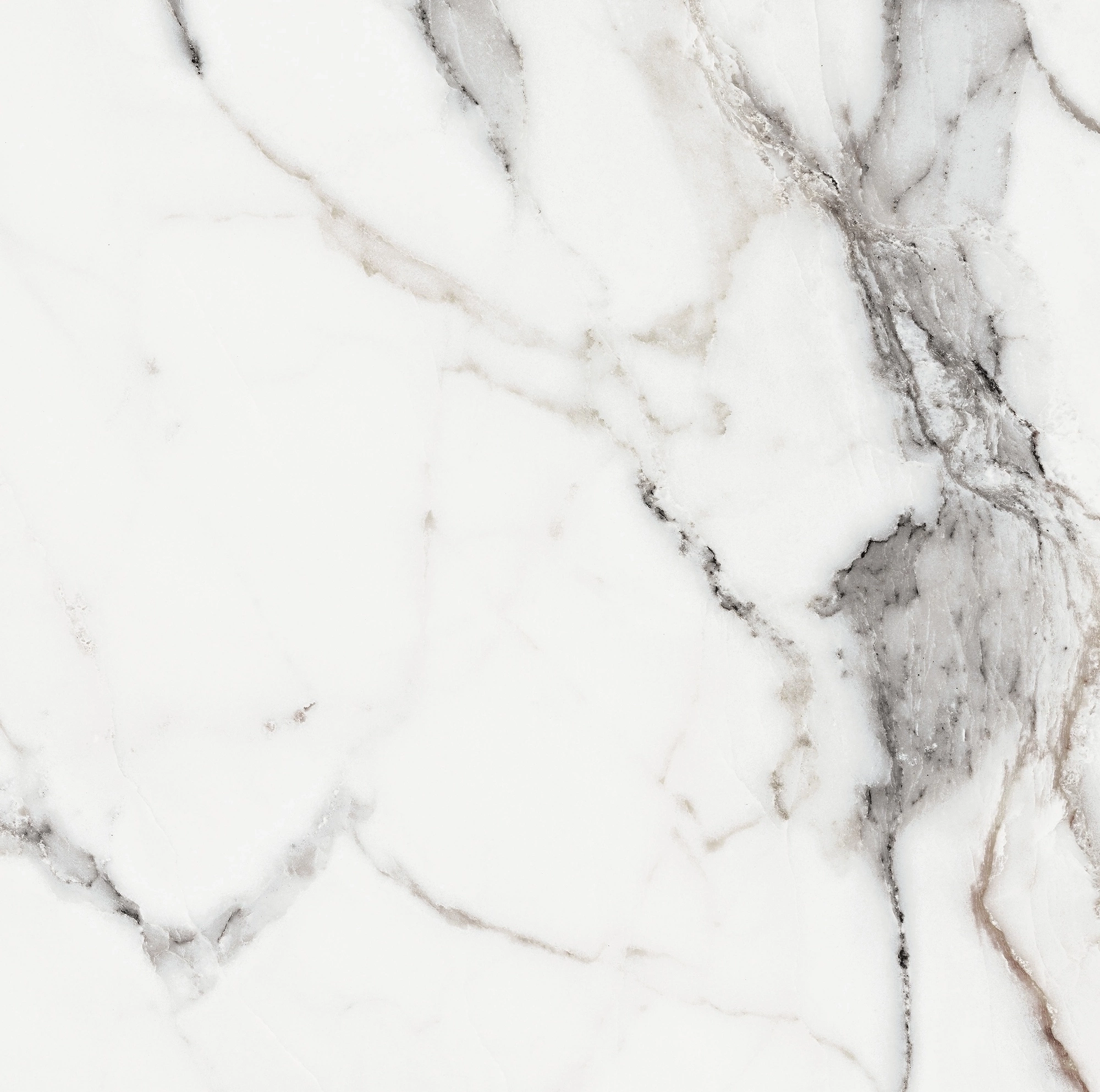 Florim Rex Origines De Rex Argent Matte 60X60 Rett 769839