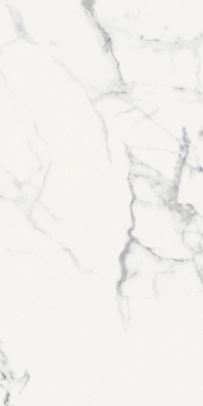 Florim Rex Origines De Rex Blanc Glo 6Mm 60X120 R 769985