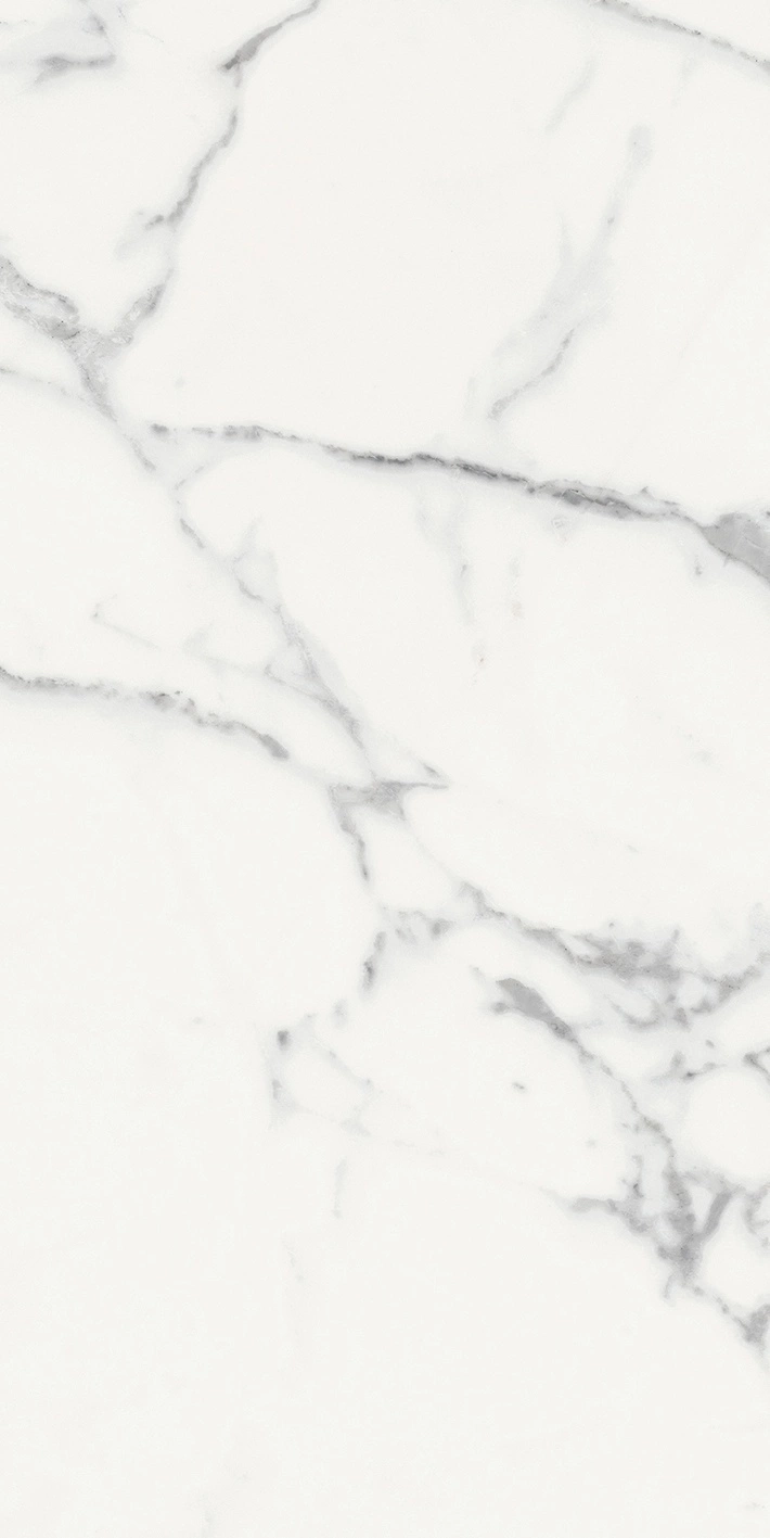 Florim Rex Origines De Rex Blanc Glo 6Mm 60X120 R 769985