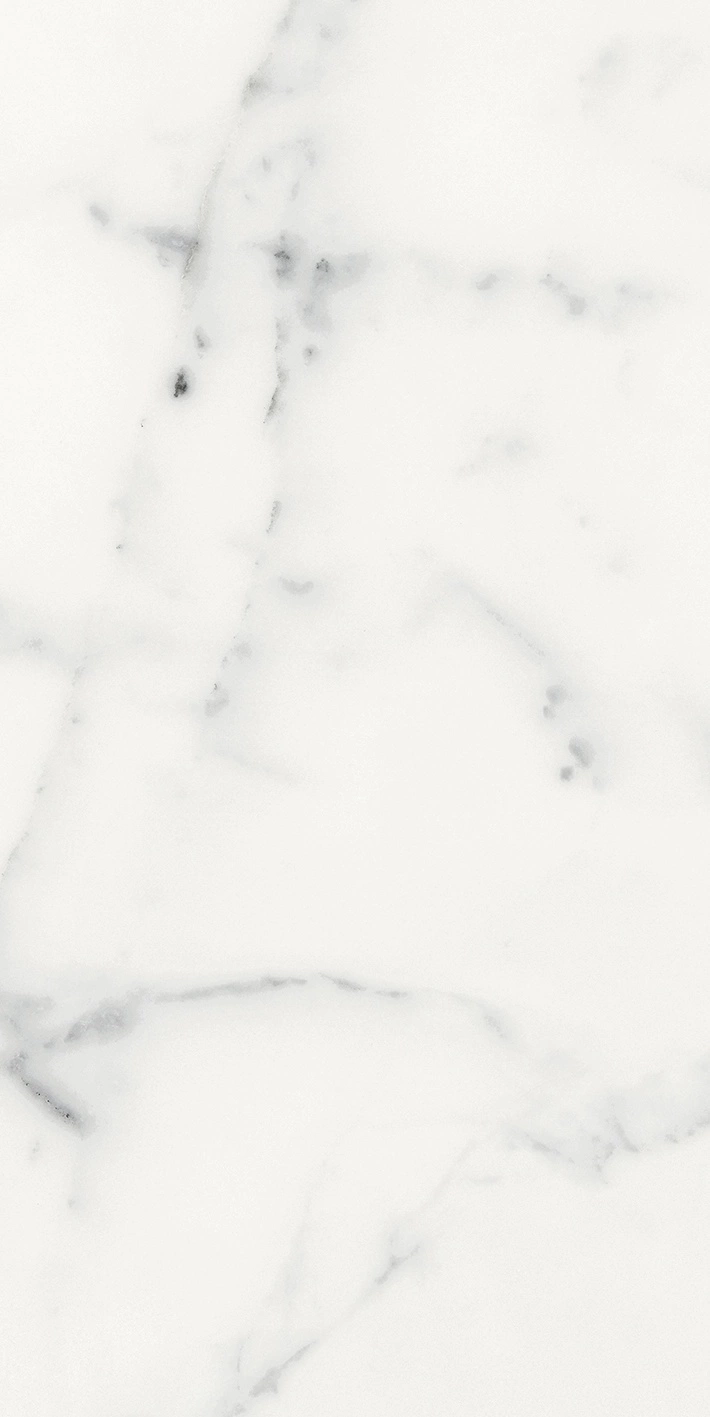 Florim Rex Origines De Rex Blanc Glossy 30X60 Rett 769852