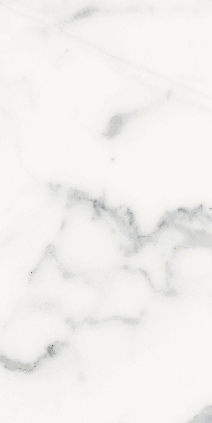 Florim Rex Origines De Rex Blanc Glossy 30X60 Rett 769852