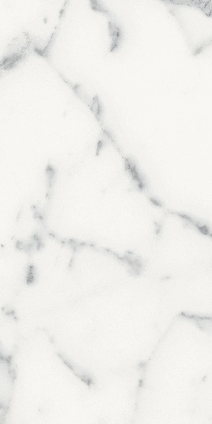 Florim Rex Origines De Rex Blanc Glossy 30X60 Rett 769852