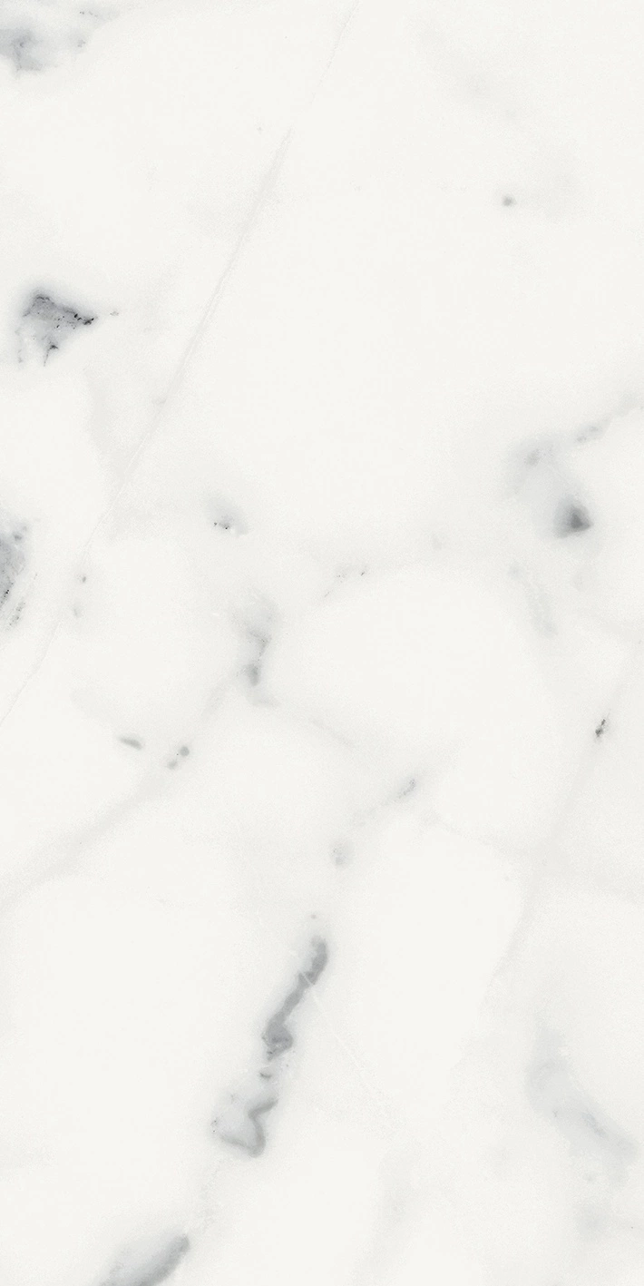 Florim Rex Origines De Rex Blanc Glossy 30X60 Rett 769852