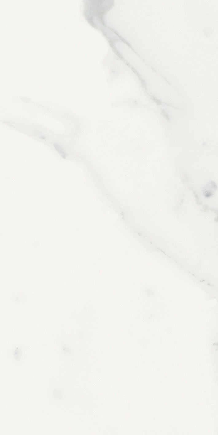 Florim Rex Origines De Rex Blanc Glossy 30X60 Rett 769852