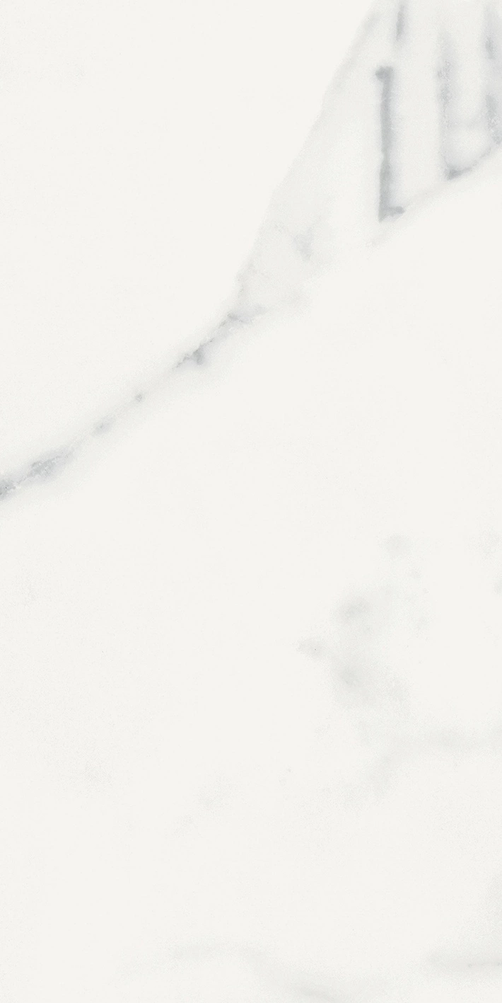 Florim Rex Origines De Rex Blanc Glossy 30X60 Rett 769852