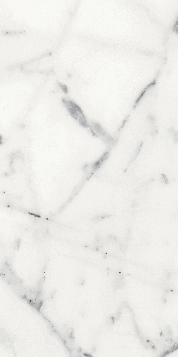 Florim Rex Origines De Rex Blanc Glossy 30X60 Rett 769852