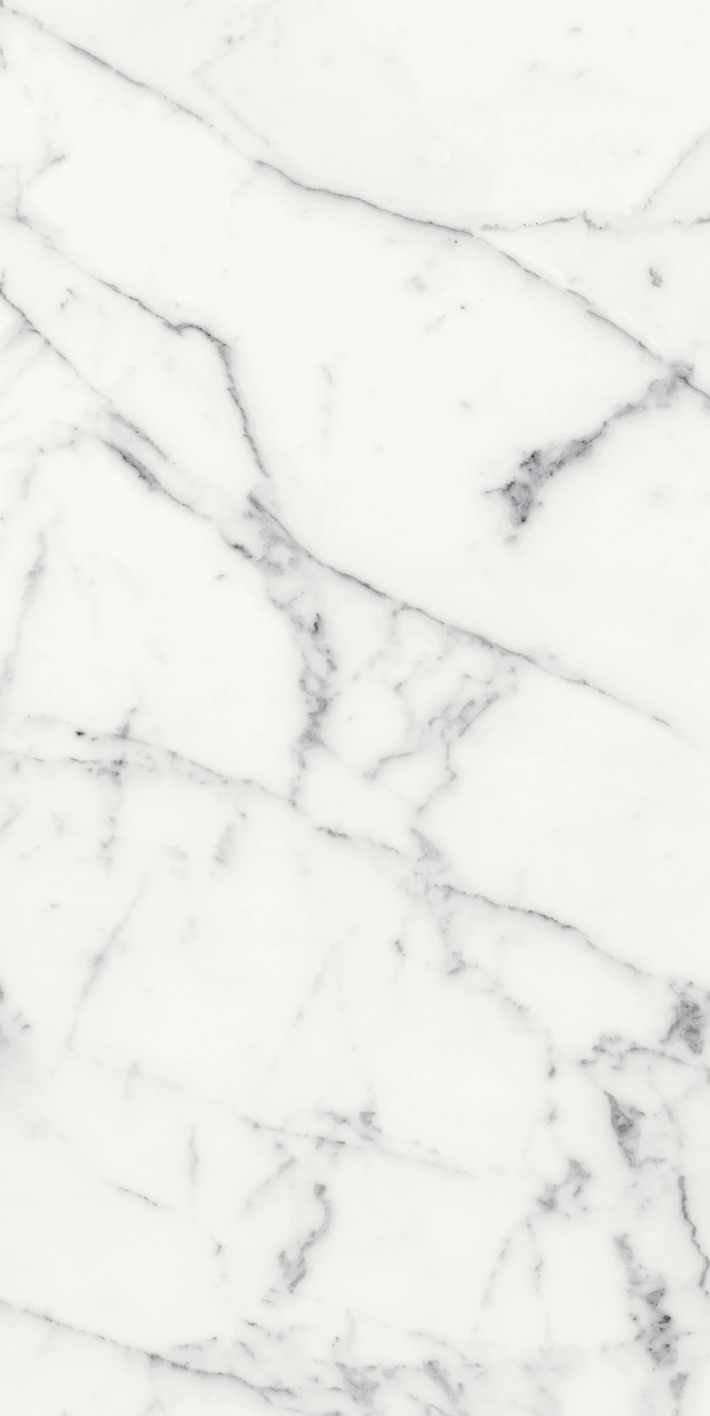 Florim Rex Origines De Rex Blanc Glossy 60X120 Rett 769860