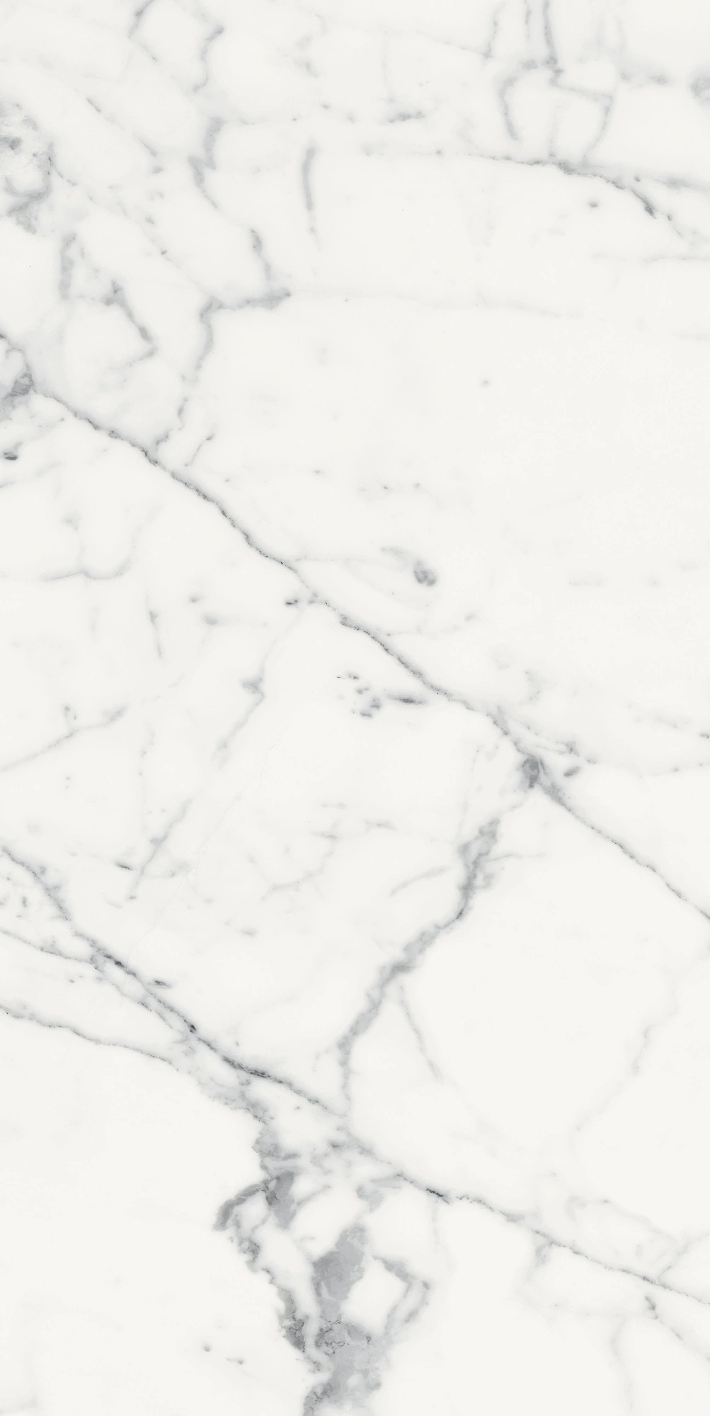 Florim Rex Origines De Rex Blanc Glossy 60X120 Rett 769860