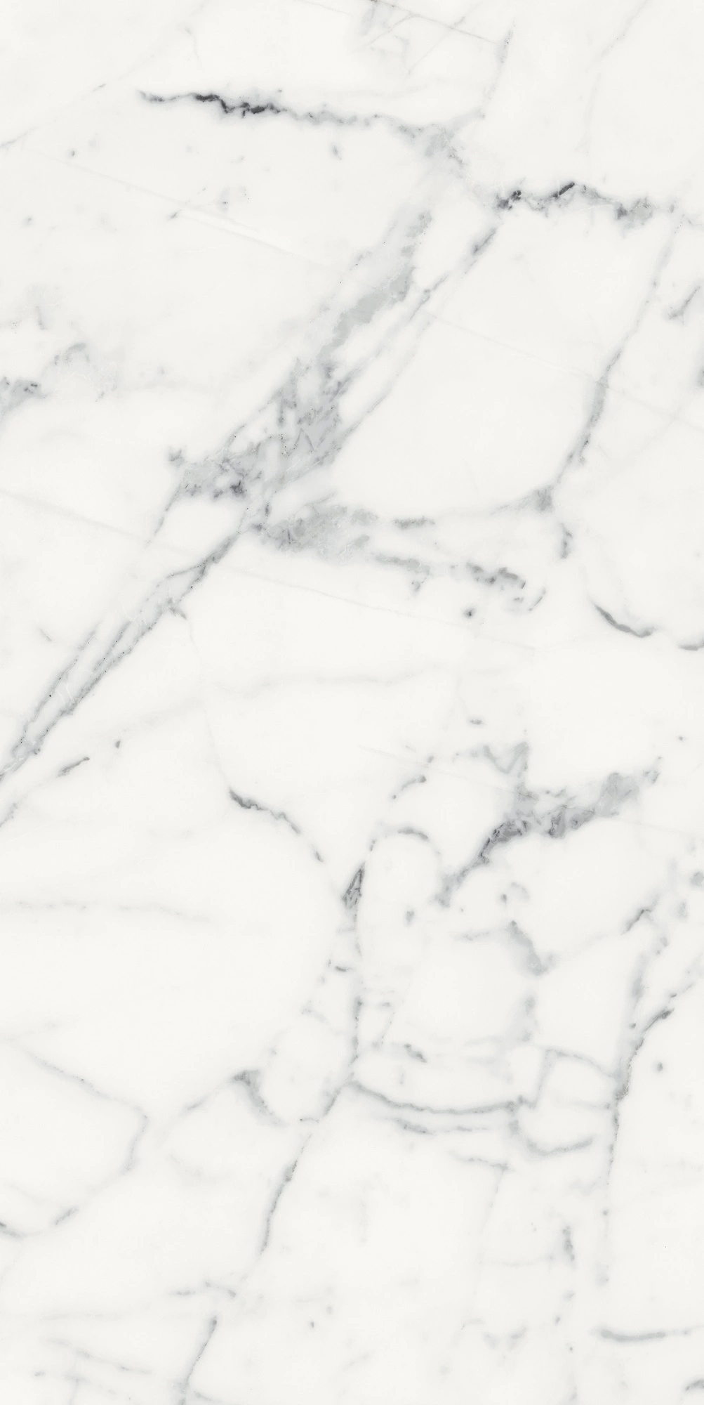 Florim Rex Origines De Rex Blanc Glossy 60X120 Rett 769860