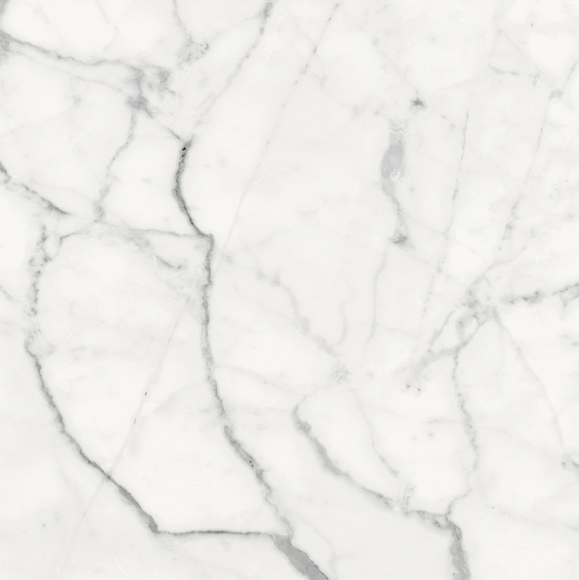 Florim Rex Origines De Rex Blanc Glossy 60X60 Rett 769844