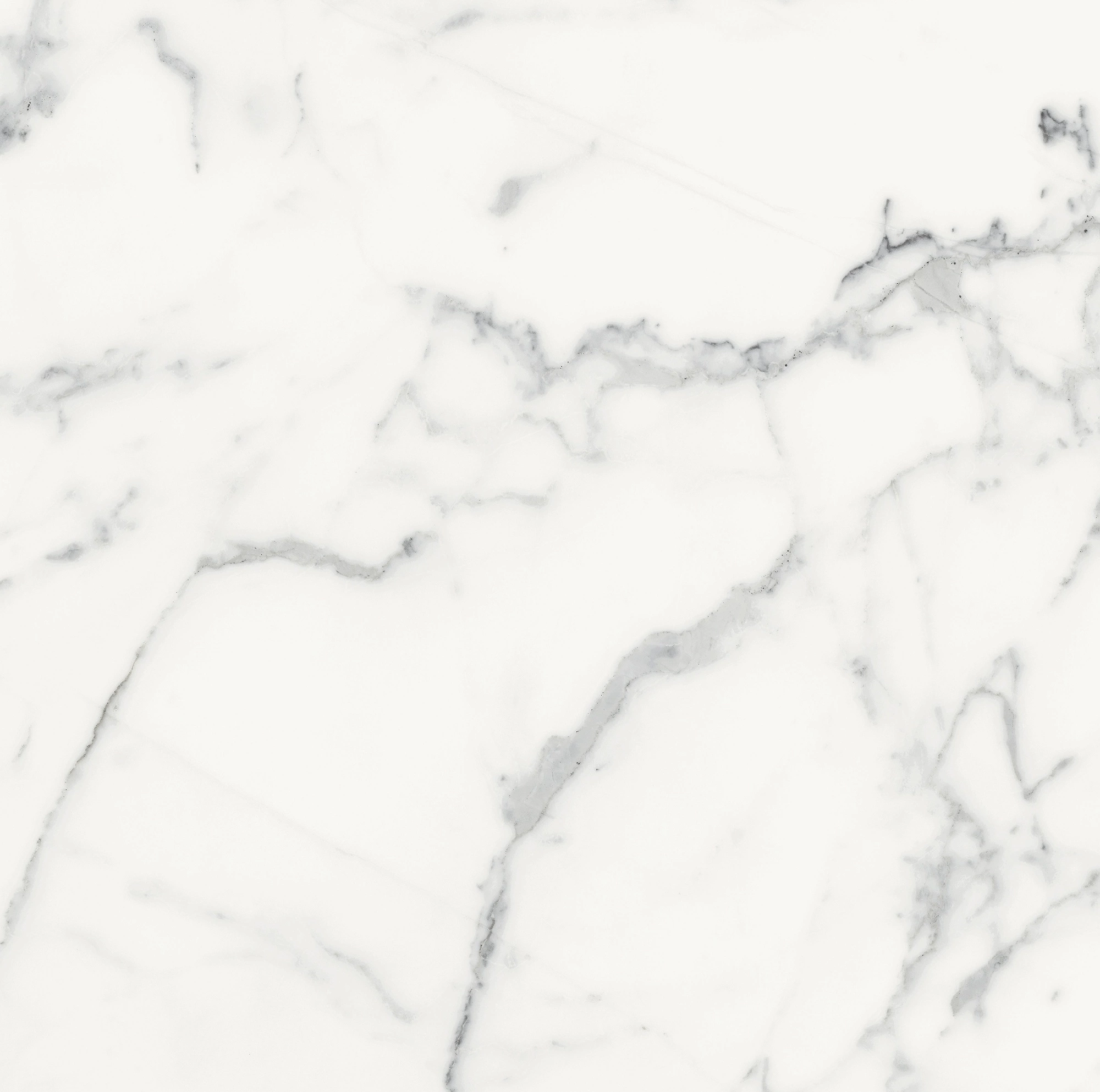 Florim Rex Origines De Rex Blanc Glossy 60X60 Rett 769844