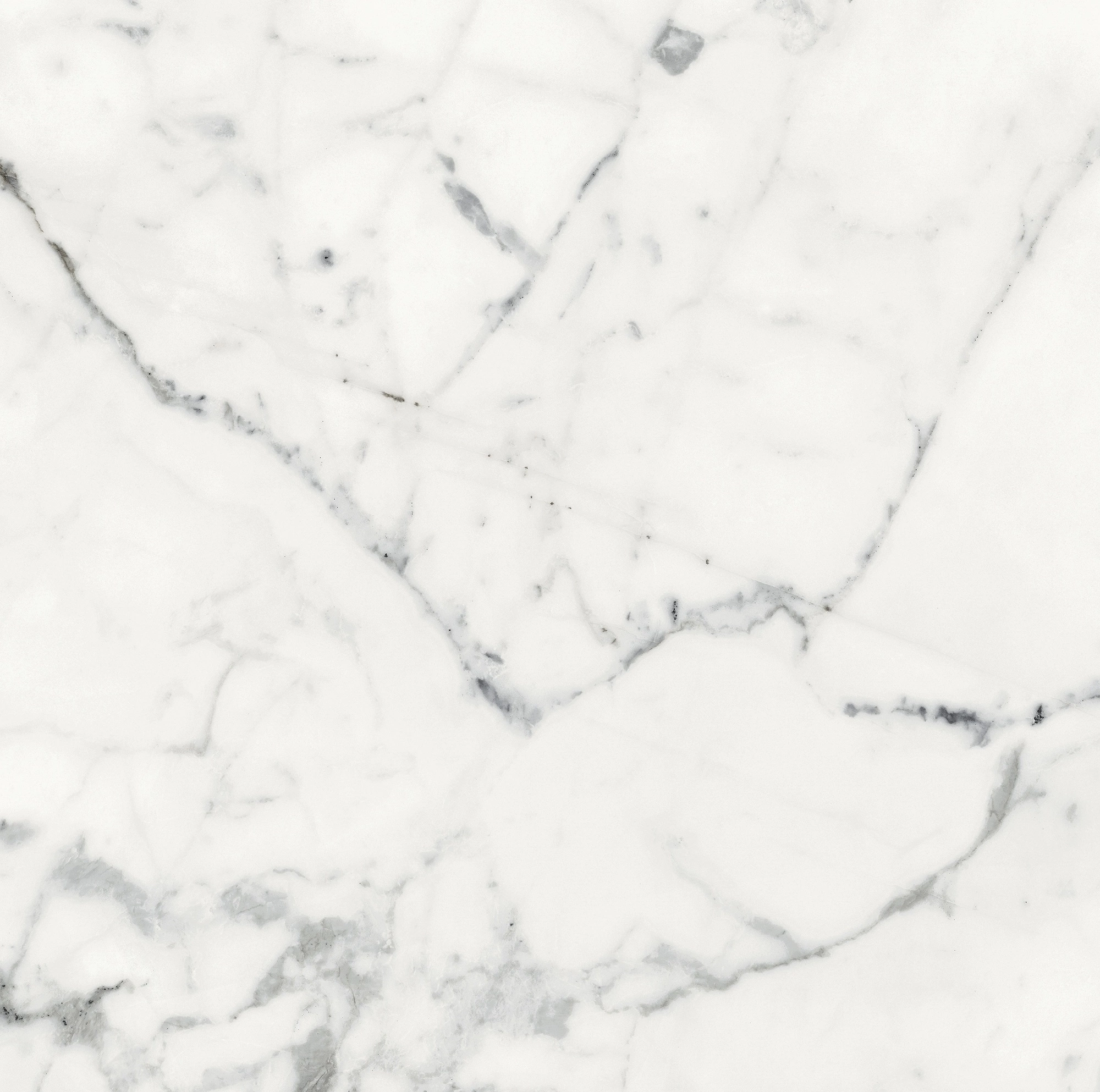 Florim Rex Origines De Rex Blanc Glossy 60X60 Rett 769844