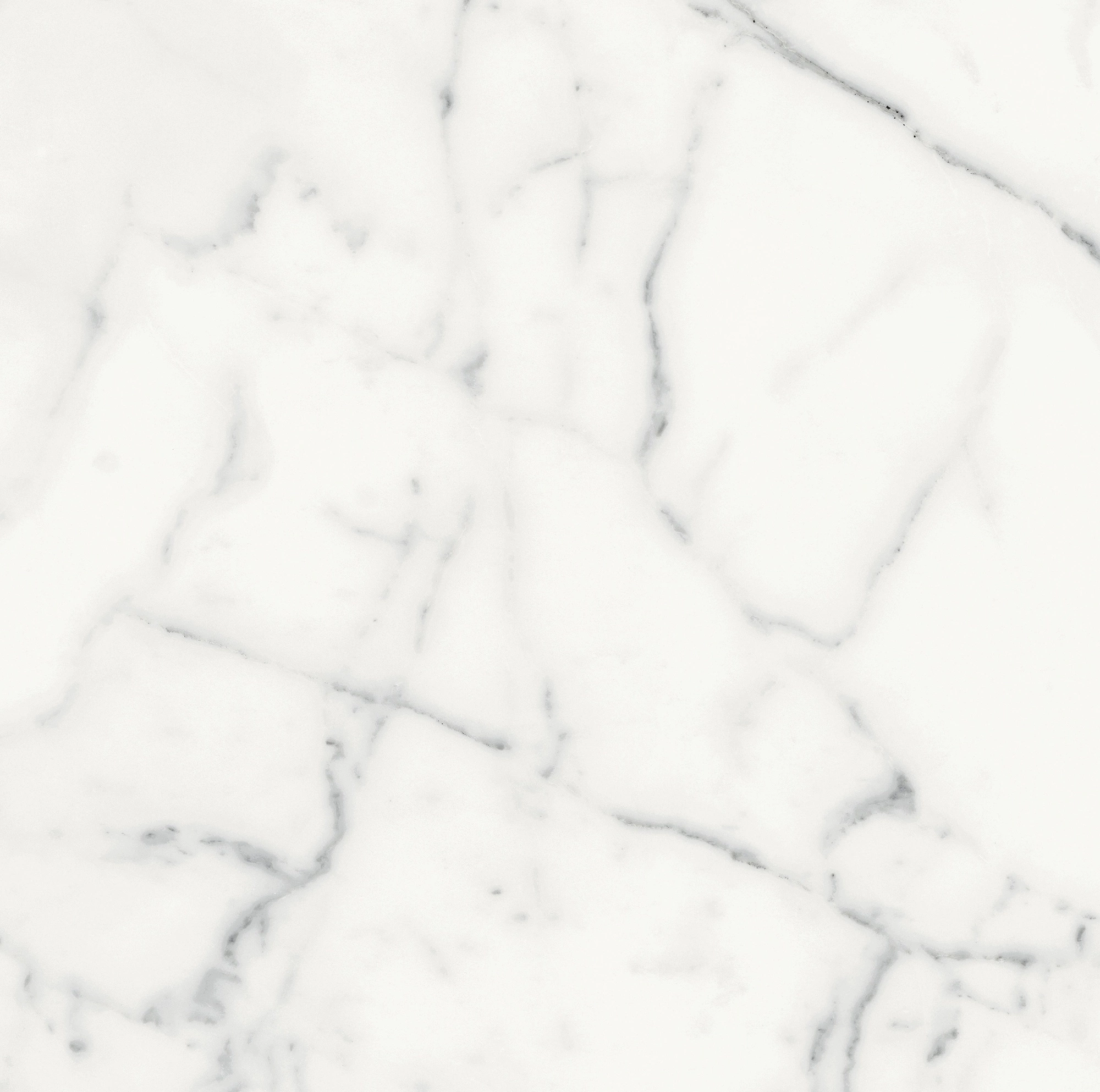 Florim Rex Origines De Rex Blanc Glossy 60X60 Rett 769844