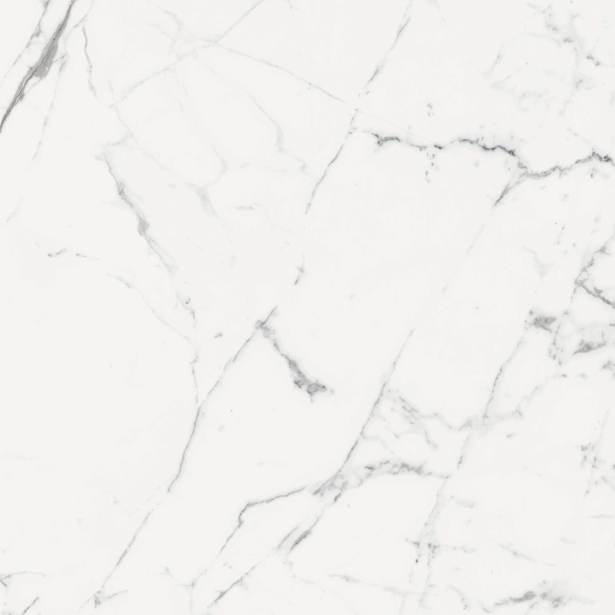 Florim Rex Origines De Rex Blanc Mat 6Mm 120X120 R 769957