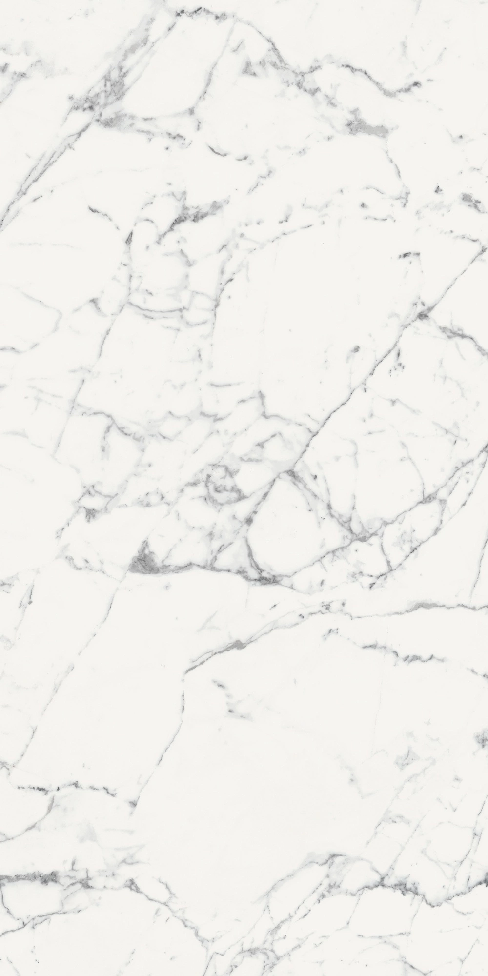 Florim Rex Origines De Rex Blanc Mat 6Mm 120X240 R 769965