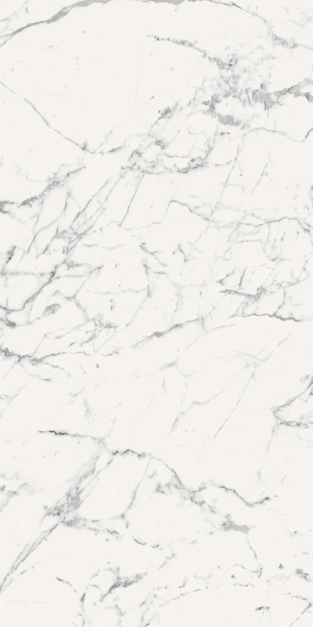 Florim Rex Origines De Rex Blanc Mat 6Mm 120X240 R 769965