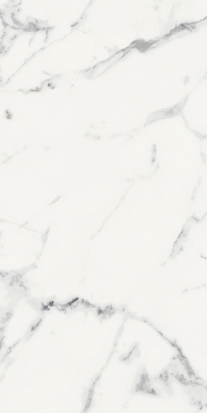 Florim Rex Origines De Rex Blanc Mat 6Mm 60X120 R 769981