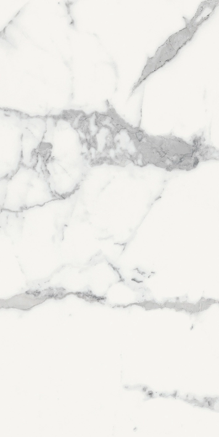 Florim Rex Origines De Rex Blanc Mat 6Mm 60X120 R 769981