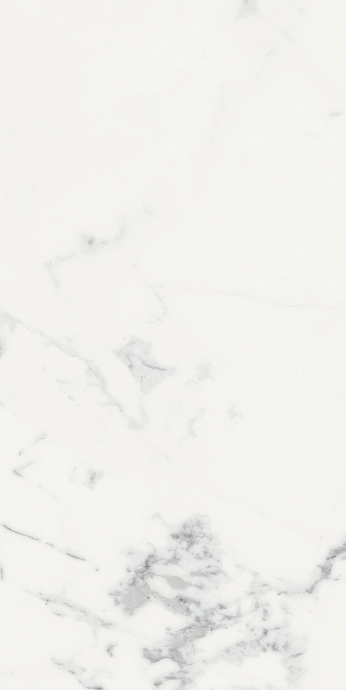 Florim Rex Origines De Rex Blanc Mat 6Mm 60X120 R 769981