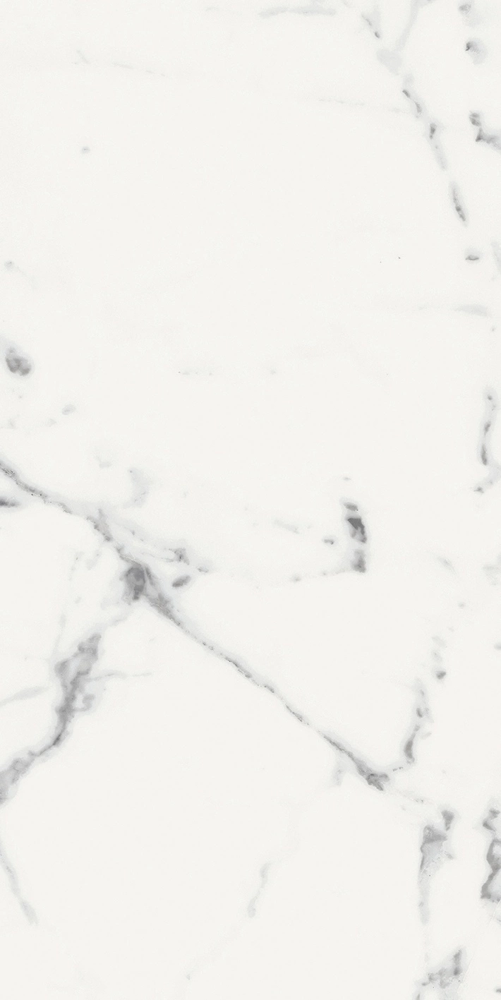 Florim Rex Origines De Rex Blanc Mat 6Mm 60X120 R 769981