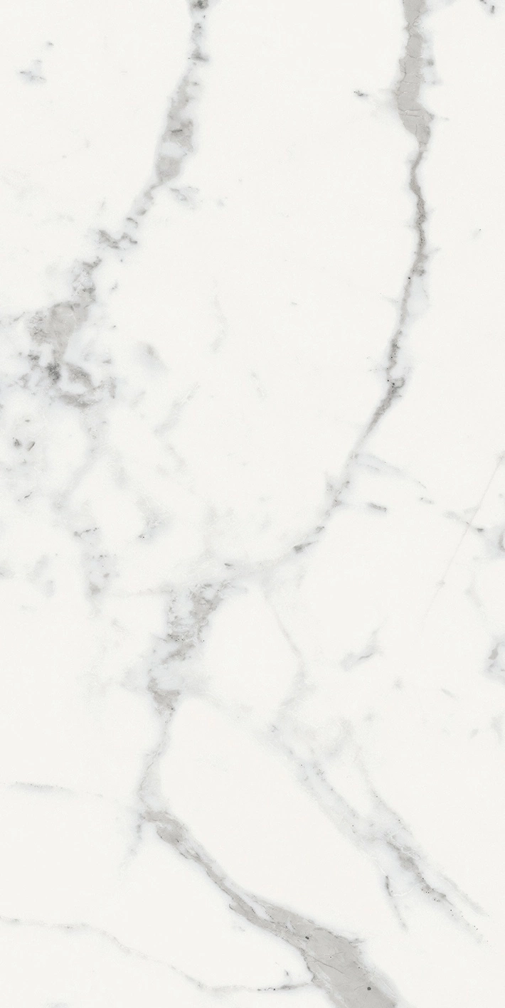 Florim Rex Origines De Rex Blanc Mat 6Mm 60X120 R 769981