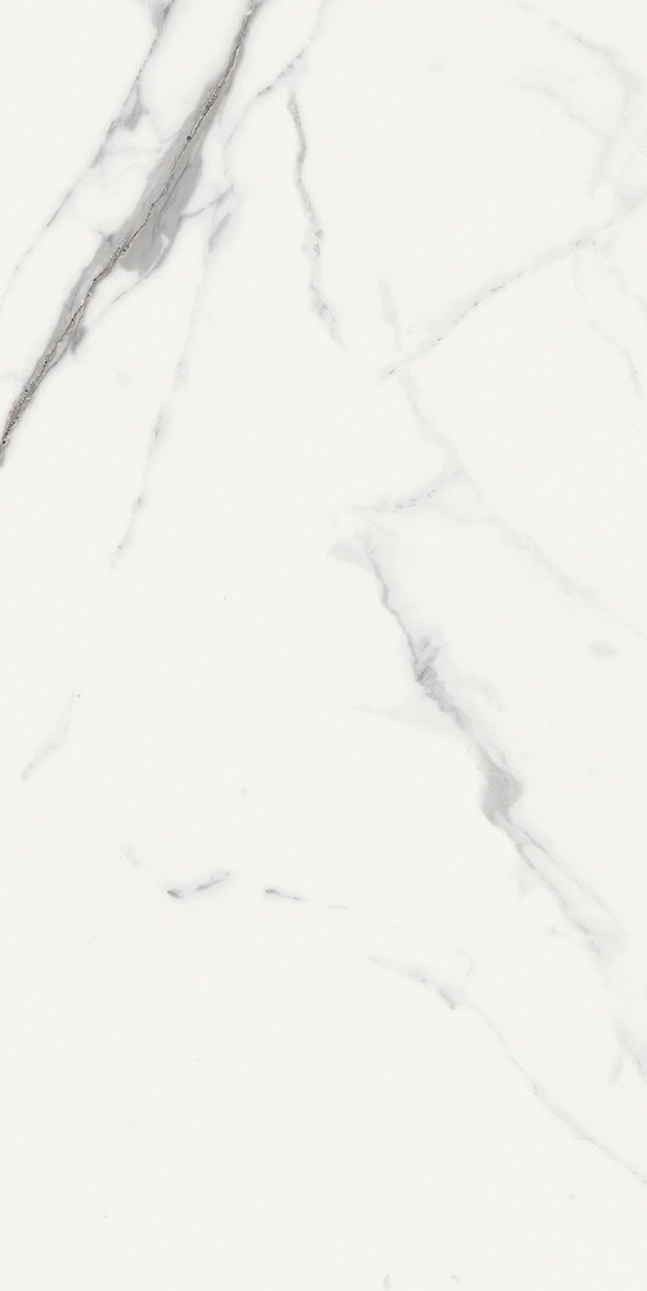 Florim Rex Origines De Rex Blanc Mat 6Mm 60X120 R 769981