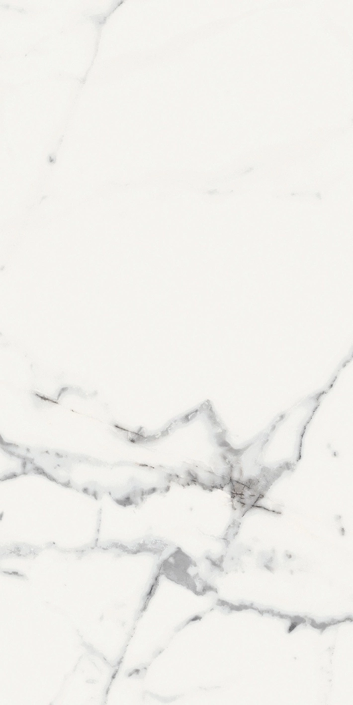 Florim Rex Origines De Rex Blanc Mat 6Mm 60X120 R 769981