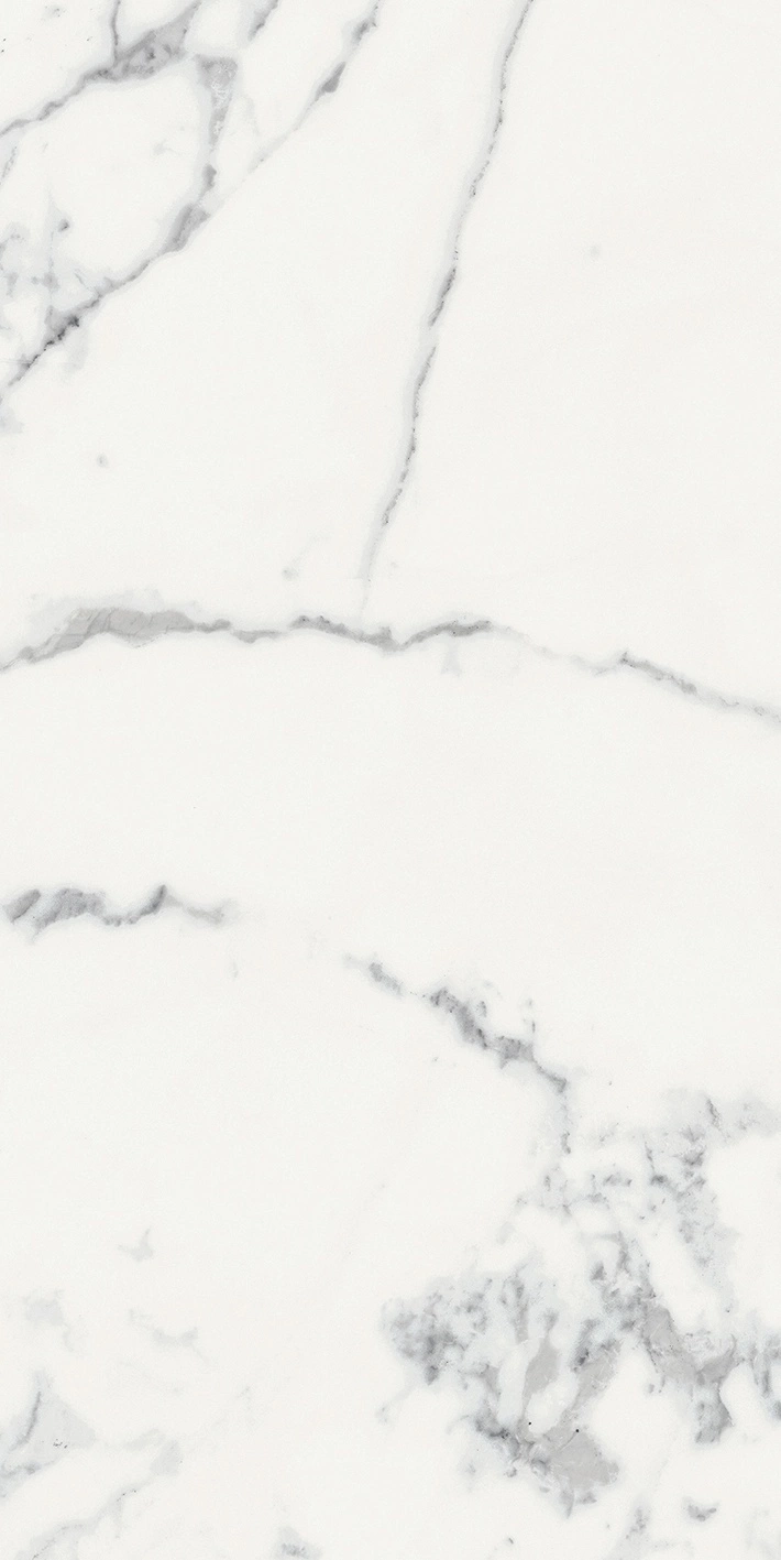 Florim Rex Origines De Rex Blanc Mat 6Mm 60X120 R 769981