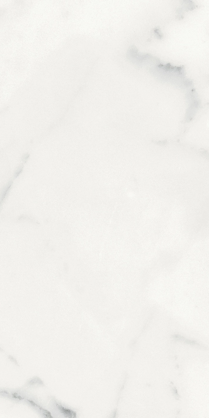 Florim Rex Origines De Rex Blanc Matte 30X60 Rett 769848