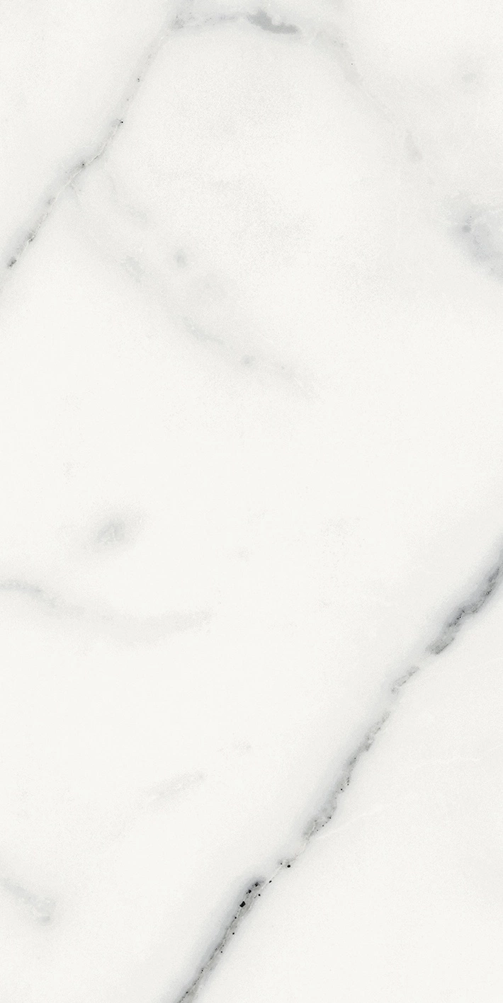 Florim Rex Origines De Rex Blanc Matte 30X60 Rett 769848