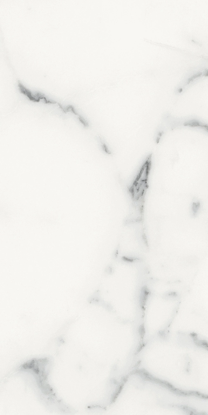 Florim Rex Origines De Rex Blanc Matte 30X60 Rett 769848